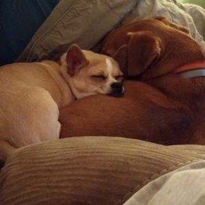 Meet your Posher, Denise